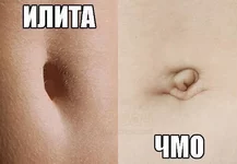 -приКОЛЫ-ДЛЯ-ДАУНОВ-разное-9345659.webp